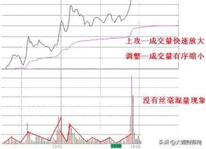 选股策略看数据图表，这波操作堪称股市刺客！ 