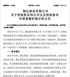 银亿集团申请破产，业内圈子炸裂了？ 