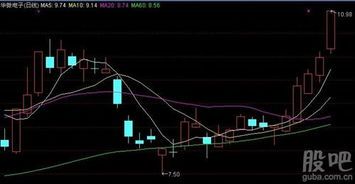 今天股市真的“全线涨停”了，羊毛们你们抓住了吗？ 