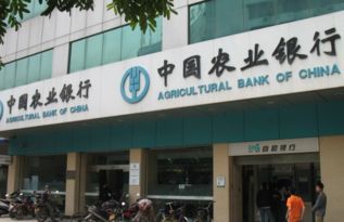 上海建设银行咨询电话：您的专属金融顾问在线等你！ 