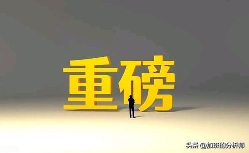 A股巨变：当韭菜遇上过山车 